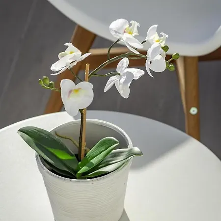 Lm12b- Exclusive 2 Bedroom In Le Mirage Апартаменти