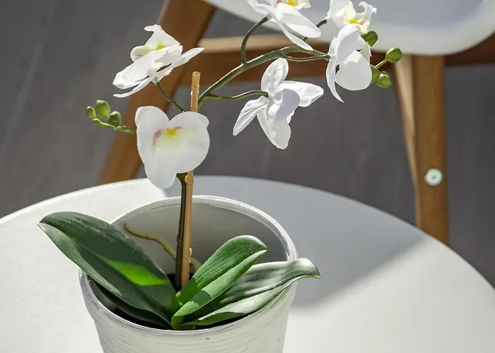 Lm1.2b- Exclusive 2 Bedroom In Le Mirage Lägenhet Estepona